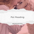 Pet Reading