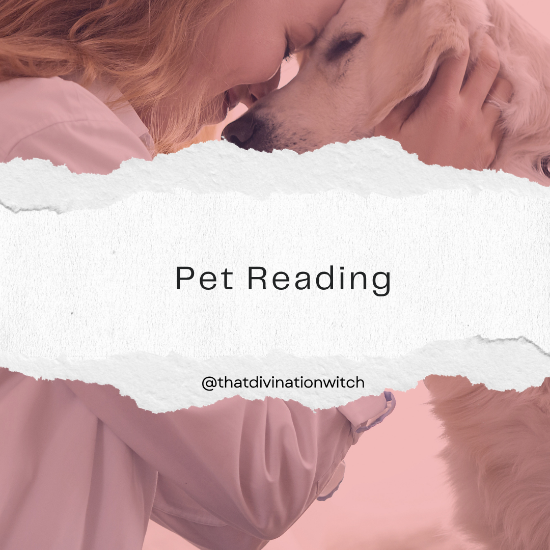 Pet Reading