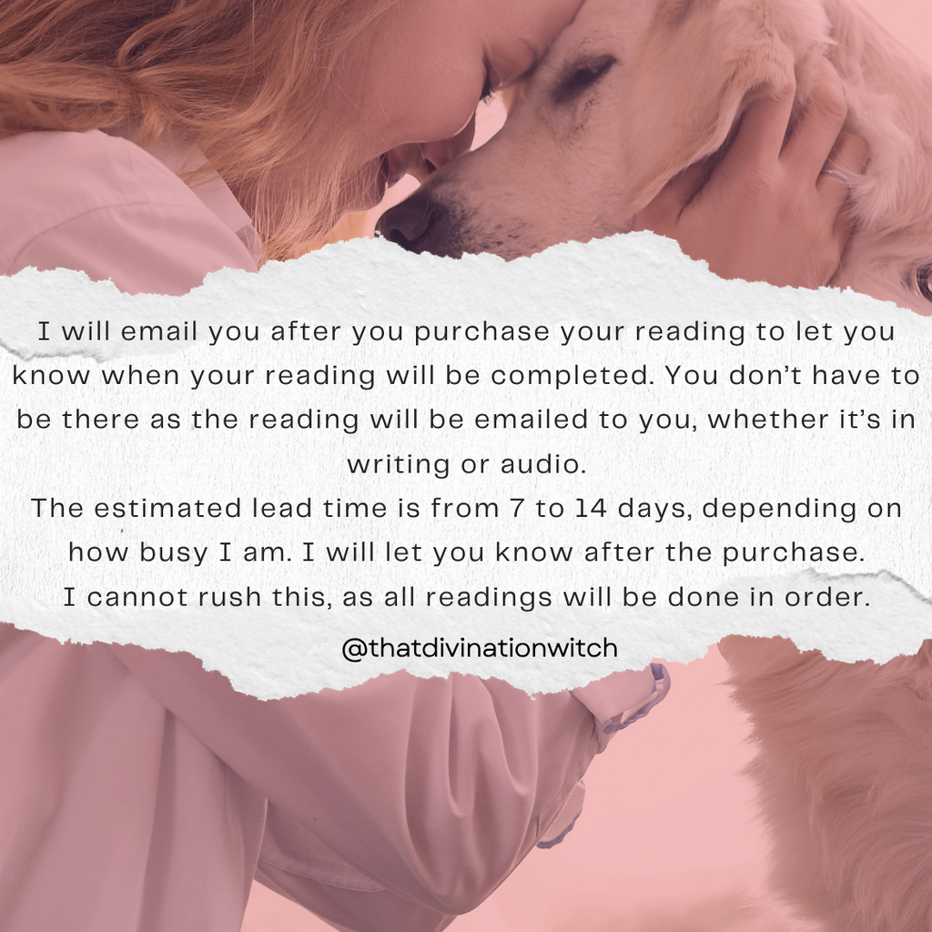 Pet Reading